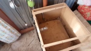 Брудер для цыплят из подручных материалов