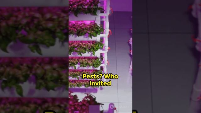 Vertical Farming: The Future of Agribusiness #agriculture #agriculturetechnology #hydroponics