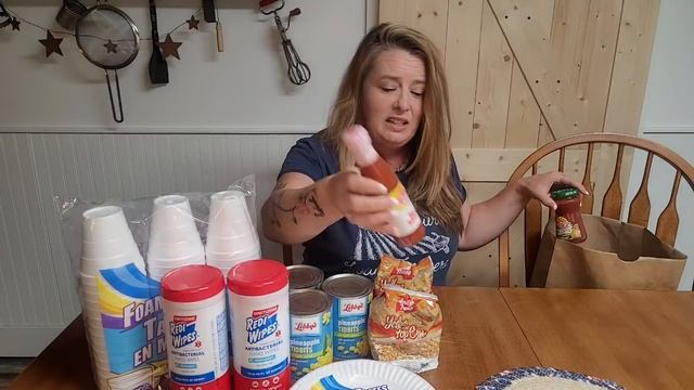 Budget Prepper Pantry Haul from Dollar Tree ~ Preparedness