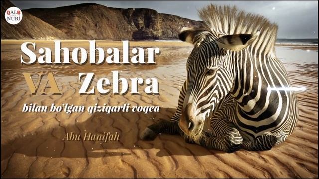 Саҳобалар ва Зебра Билан Бўлган Қизиқарли Воқеа (Абу Ҳанифаҳ) смотреть онлайн