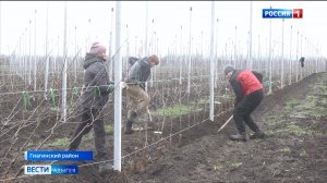 В Адыгее развивается садоводство