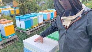 Снимаю кормушки # для чего нужен пробиотик осенью # фермент каталаза