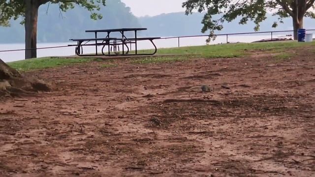 НАШ ПАРК В АМЕРИКАНСКОЙ ДЕРЕВНИ ЛОДКИ ОТДЫХ ДЖЕТСКИ США смотреть онлайн