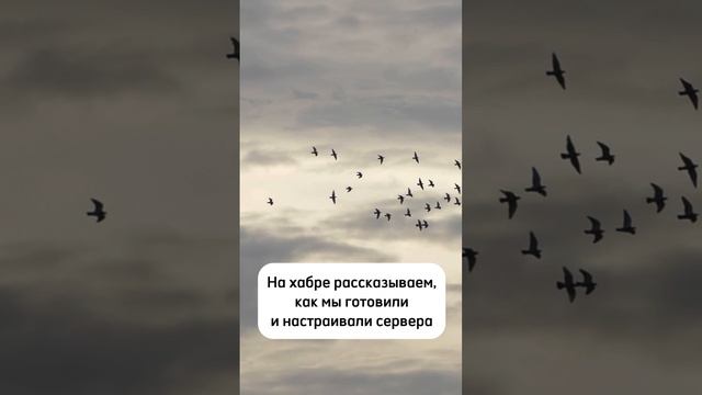 👀Как (и зачем) взломать тренажёр