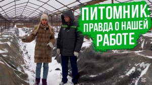 ШОК! Как профессионалы укрывают хвойные и плодовые в питомнике?