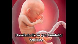 Хомиладорликнинг 13-хафтаси//Homiladorlikning 13 haftasi