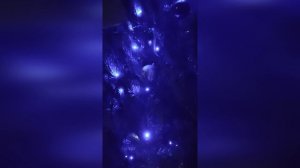 Евгений Болгов - Ëлочка