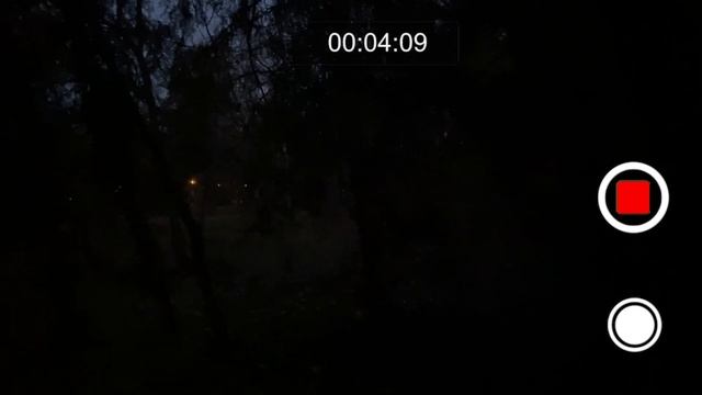 Сиреноголовый в реальной жизни. Сереноголовый в городе.