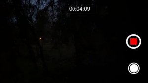 Сиреноголовый в реальной жизни. Сереноголовый в городе.