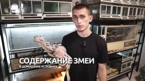 Живая наука: содержание змеи в домашних условиях