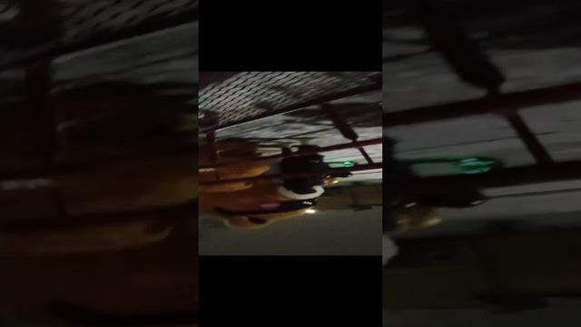1000016327.mp4