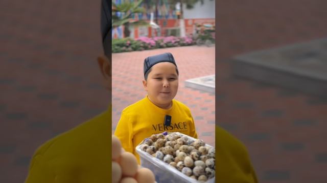 Шум Бола вайнлар 11 смотреть онлайн