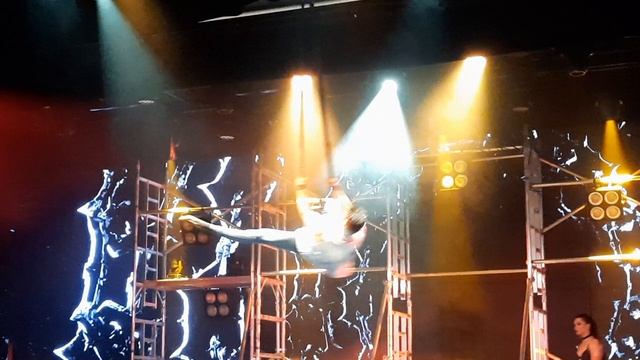 MSC Euribia theatre Delphi смотреть онлайн