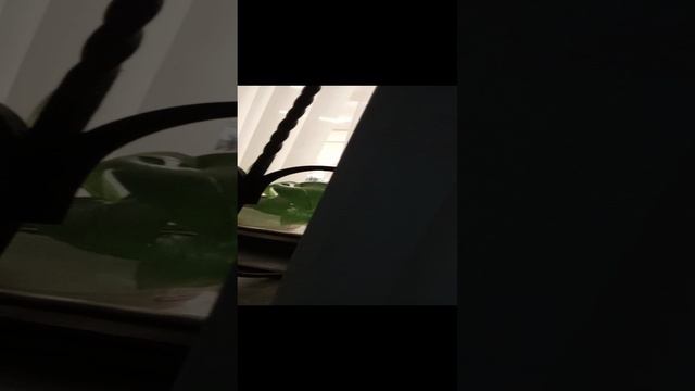 1000000448.mp4 смотреть онлайн