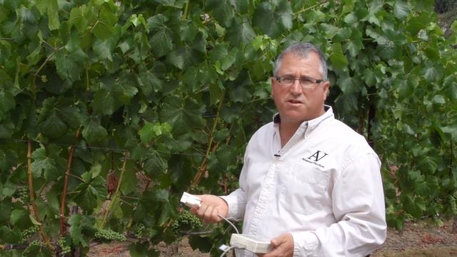 Water Conservation and Vineyard Irrigation: Monitoring and Weather Tools