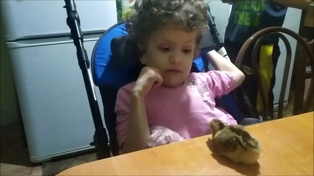 Взяли в семью двух деток инвалидов. Бывшие сироты жадно познают мир.)) смотреть онлайн