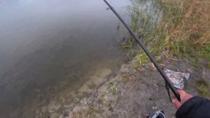 Рыбалка на отличного ротана промозглой осенью. РОТАН КРАСАВЕЦ !