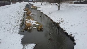 Воронина Лайф \ Обзор влогов \ Скучный сериал длиною в жизнь...