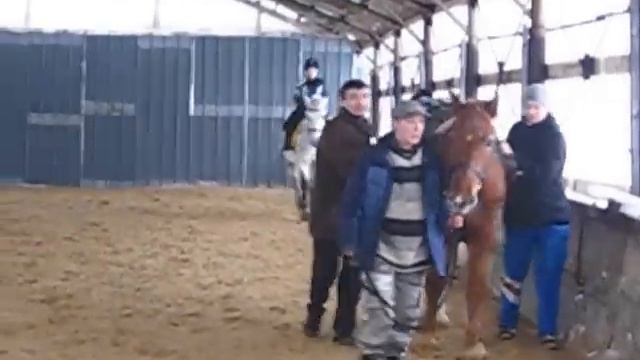 Иппотерапия в центре Преододение-Л манеж