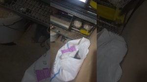 перепелятник с размером полтора на два метра и с посадкой 300 перепелов.как вам такой вариант?