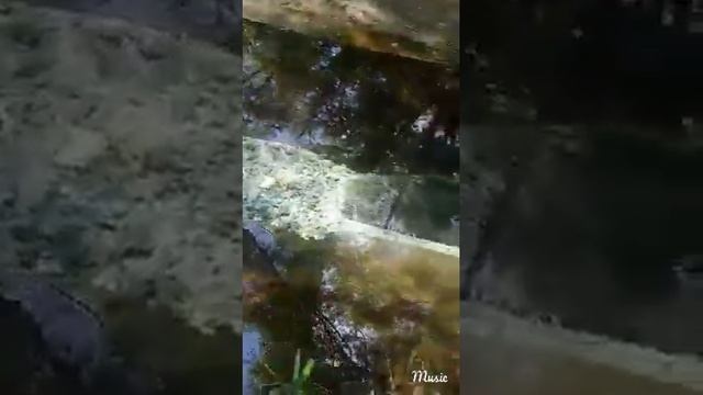 Липецкий бювет смотреть онлайн