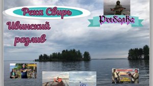 Красивая природа и река Свирь. Отличная рыбалка и замечательный отдых. Ивинский разлив.