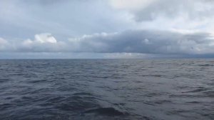 Загадочная Онега