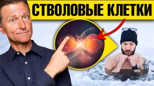 7 способов стимуляции стволовых клеток без походов в клинику🔥