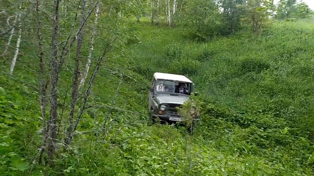 Трофи ориентирование Кунгур