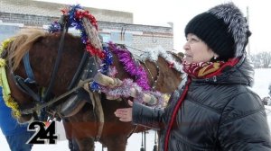 Дед Мороз приехал на запряженной санями лошади