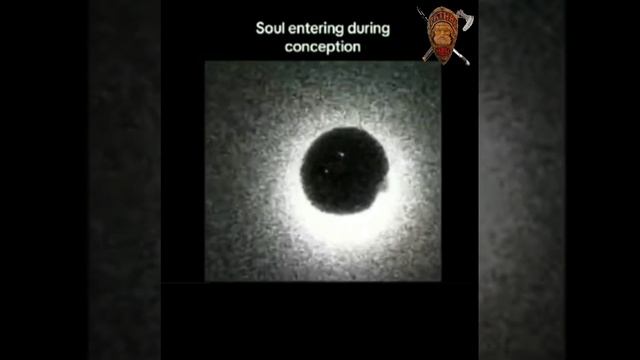 СО взрыва заРожДение дУШi