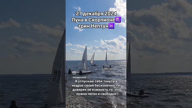 #27декабря2024 #гороскопдня