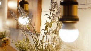 'Volkslied' Творческое содружество 'Листая небо' Алёна Белавежская 'Сколько бывали рядом'