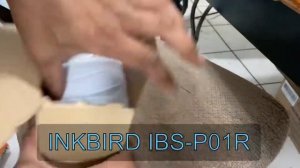 Inkbird IBS P01R Wireless Pool Thermometer