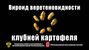 Вироид веретеновидности клубней картофеля (Potato spindle tuber viroid)