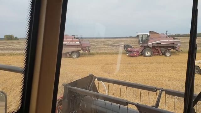 Своровали солярку.Молотим пшеницу.Новый рекорд смотреть онлайн