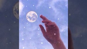 Песня – полярная звезда 💫