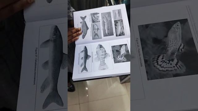 fish pharmacology and toxicology,fish processing technology and Production Development #fisheries
