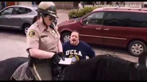 ЛОШАДЬ ЛЕГНУЛА,(СУПЕР УДАР)