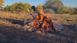 Дом на юге. Сколько мы зарабатываем. О пенсии. Работаем в огороде...