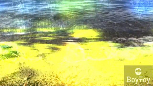 BoyToyRussia - пляжный отдых | sand beach pleasure смотреть онлайн