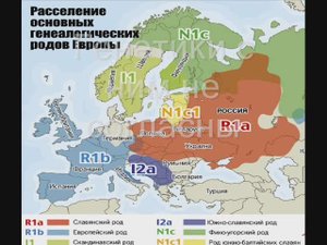 Генетики с ним не согласны.