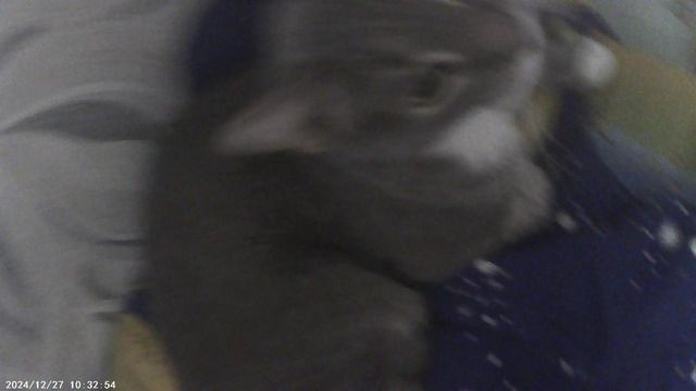 VID00031