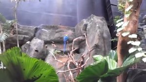 Малайзия. Океанариум на Лангкави. Маленькая журналистка