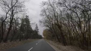 Оборзевшая свекровь еще не знала какой радушный приём устроит невестка...