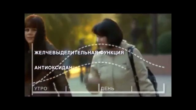 Гепатопротектор Синхровитал-4