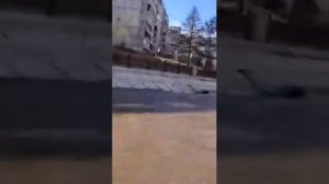 Росомаха 4100 projet