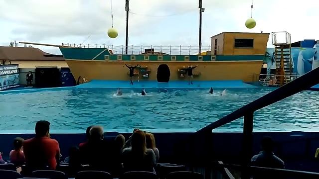 Дильфинарий смотреть онлайн