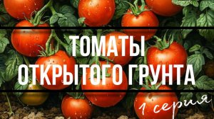 Семена на 2025 год. Многосерийный фильм о выборе семян. 1 серия