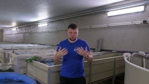 Инкубация и подращивание малька форели. Часть 2